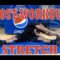 Post Workout Stretch | Static Stretching Routine | Pro Training