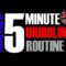 How To Improve: Your Ball Handling | Another Daily Dribbling Routine | Pro Training Basketball