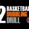Great Ball Handling Drill | Two Ball Dribbling Drill | Pro Training Basketball