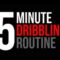 How To: Improve Your Ball Handling – Daily 5 Minute Dribbling Routine – Pro Training