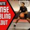 31 Min. Dribbling Workout | Workout #6 – In & Out | Pro Training Basketball